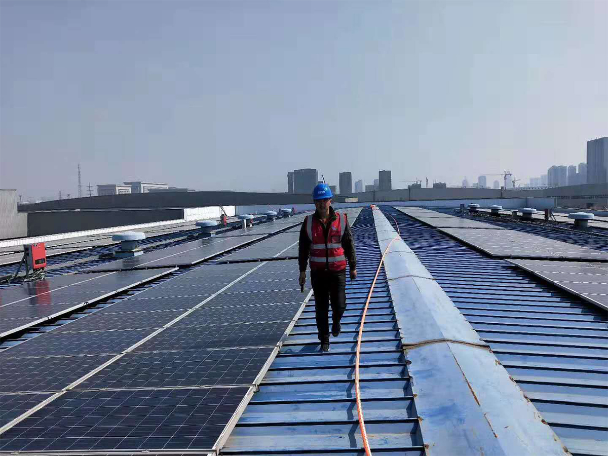 Photovoltaic rooftop power generation project of Hebei Quyang processing plant