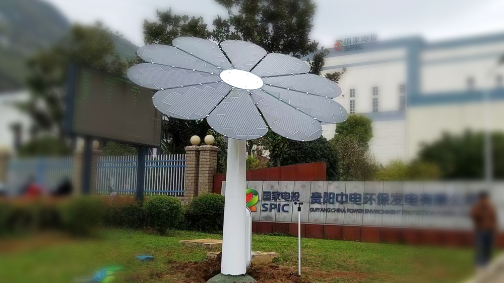 Photovoltaic sunflower-Guizhou case