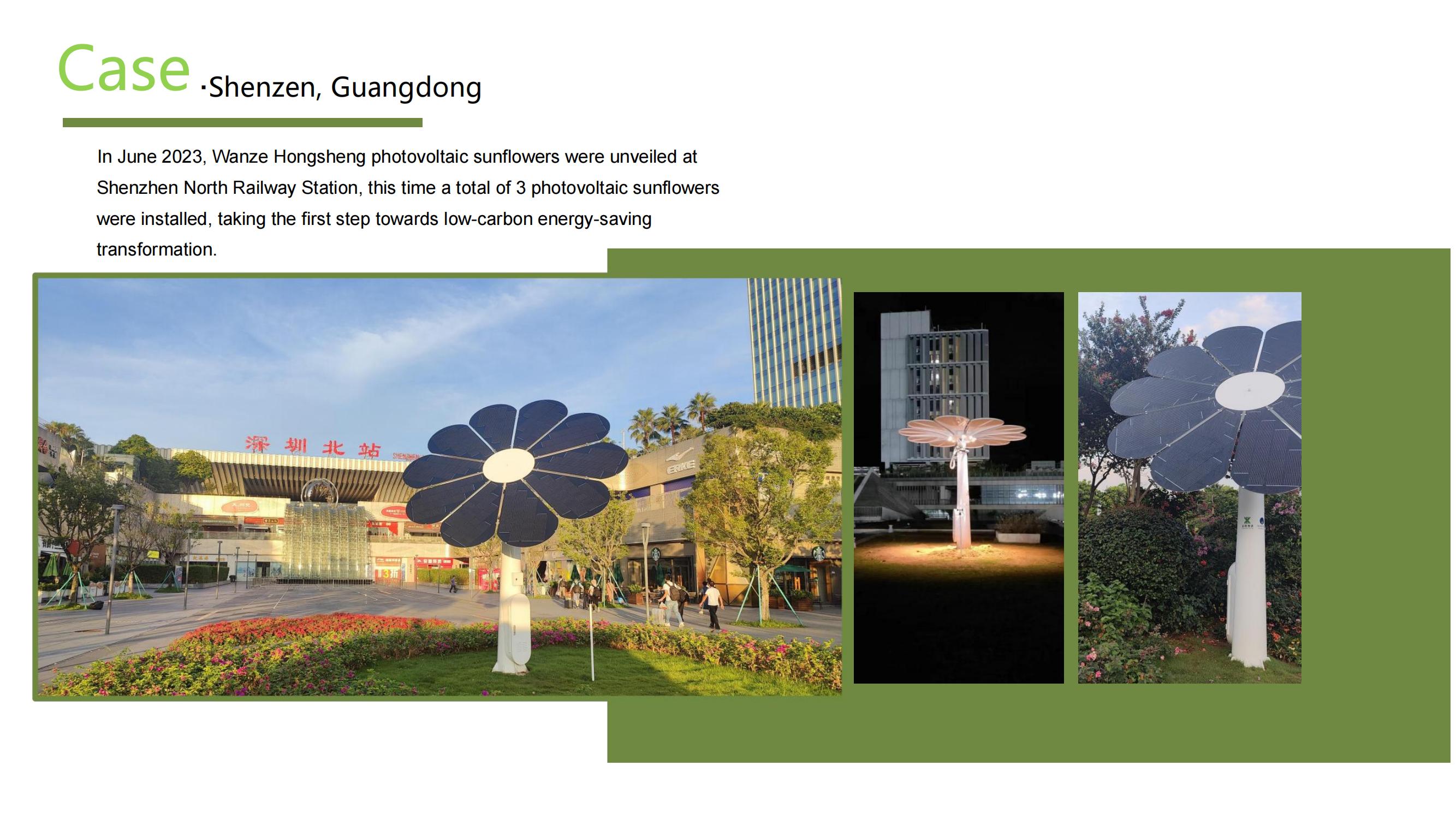 Dual-Axis Photovoltaic Sunflower (Latest Version)_22.jpg