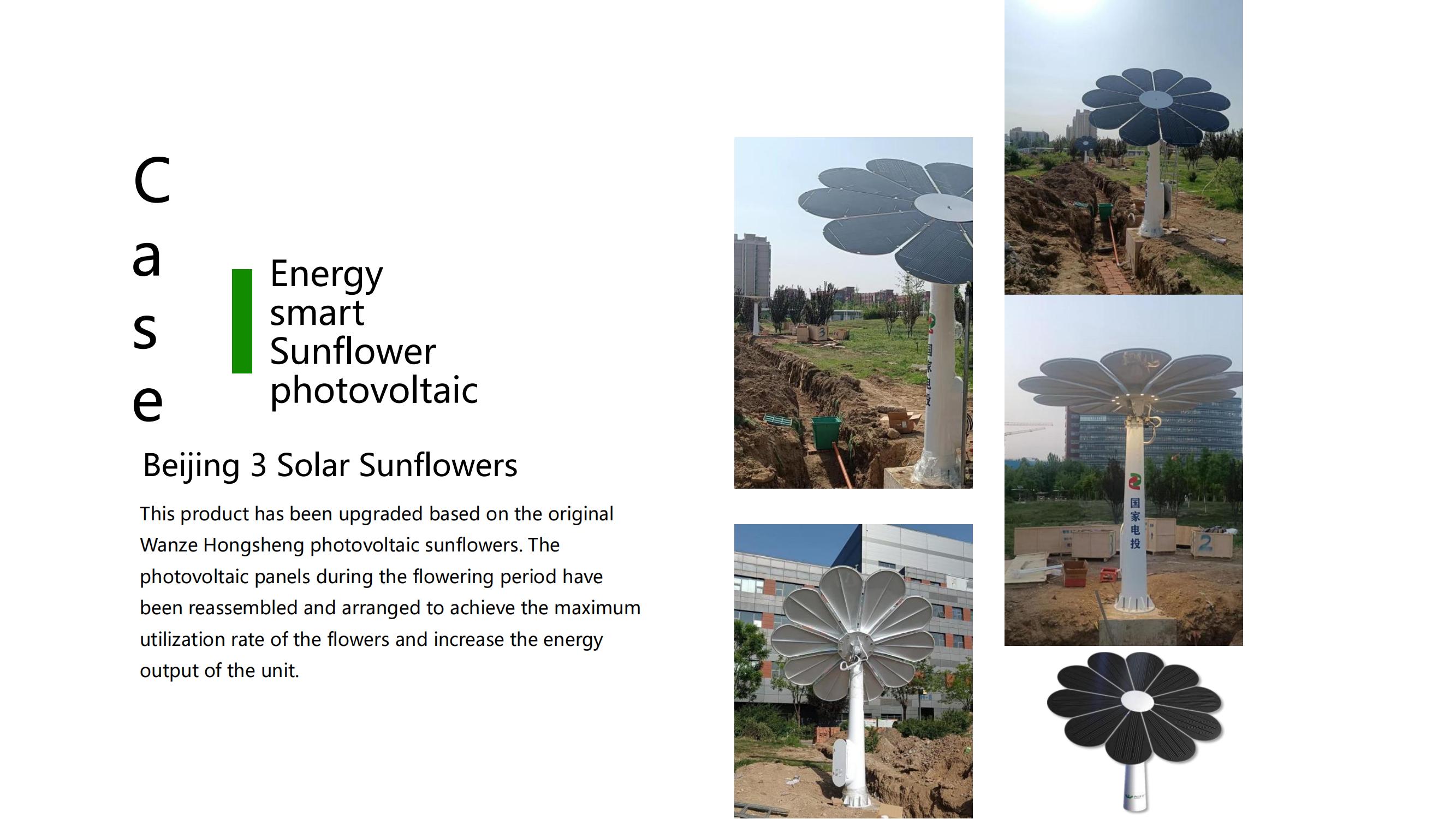 Dual-Axis Photovoltaic Sunflower (Latest Version)_21.jpg